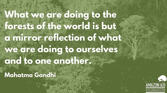 forest management quotes